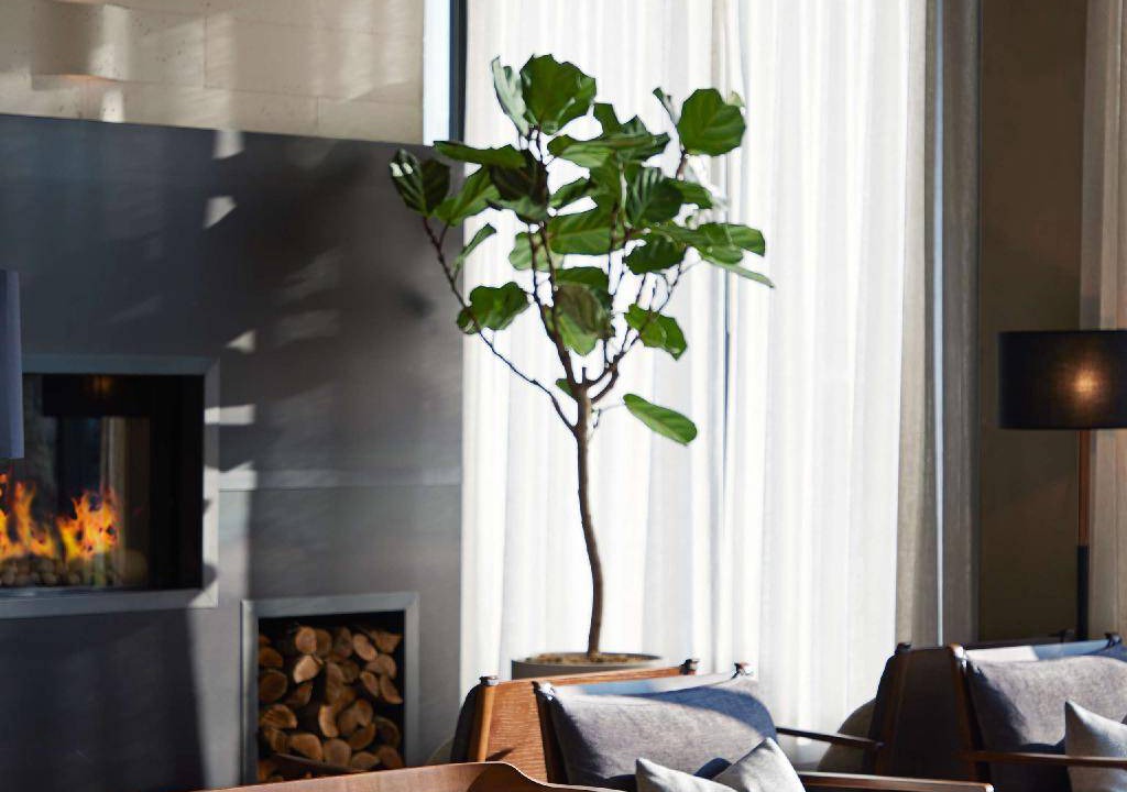 Photo of Livingroom in Midtown Sacramento