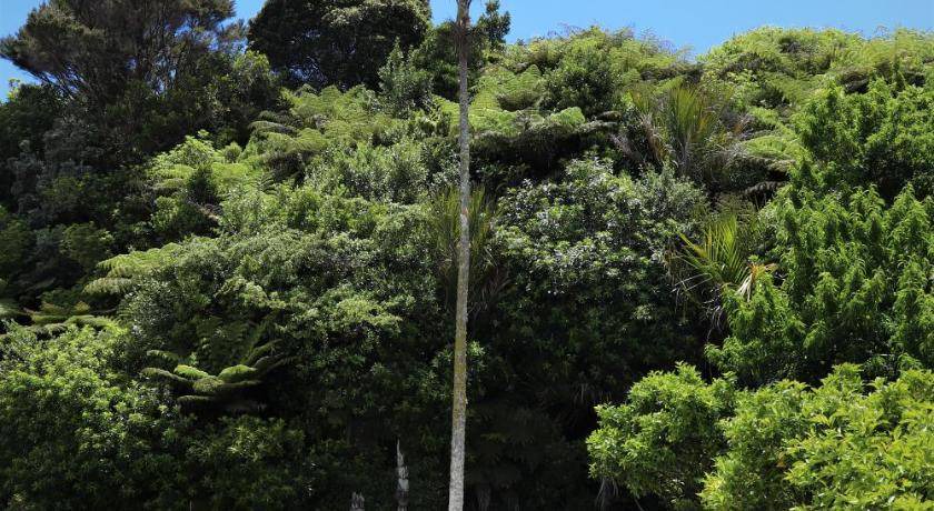 Photo of Others in Mangonui