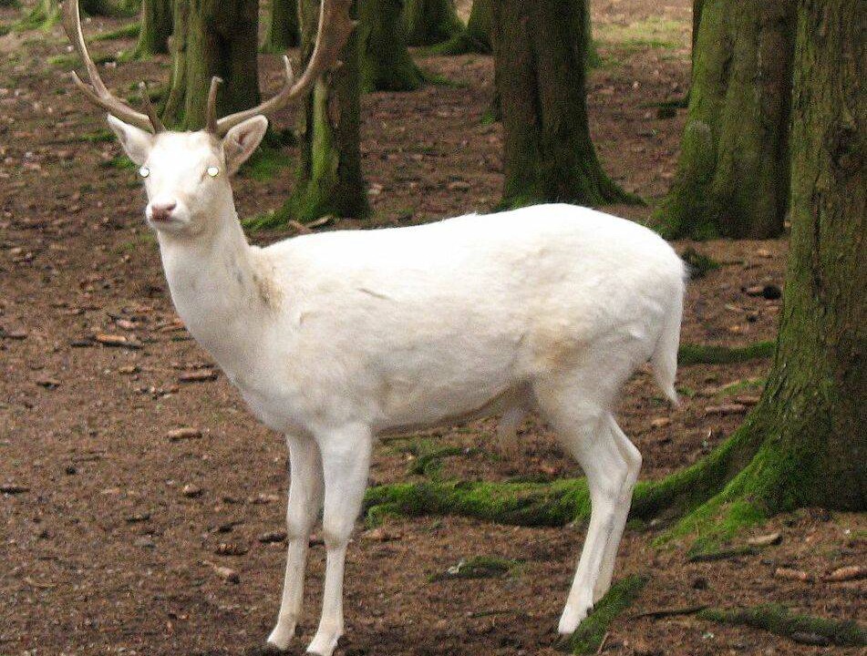 Photo of Others in Reifferscheid