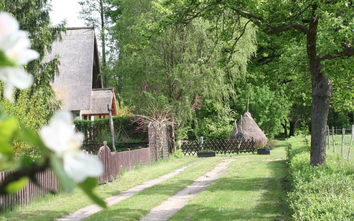 Photo of Others in Burg-Dorf