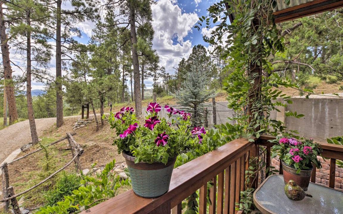 Photo of Others in Ruidoso