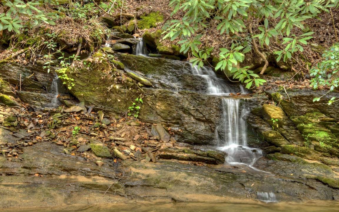 Photo of Others in Mineral Bluff