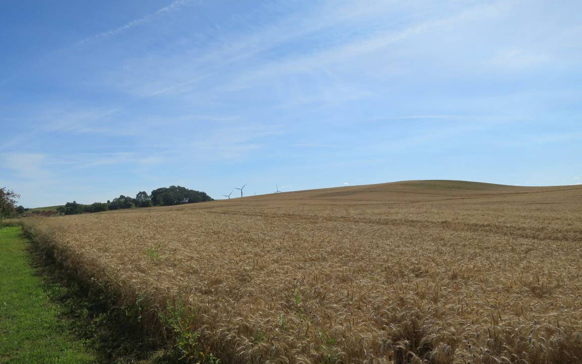 Photo of Others in Frauenhagen