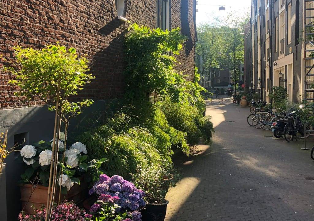 Photo of Others in Burgwallen Nieuwe Zijde