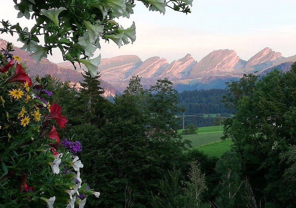 Photo of Others in Nesslau-Krummenau