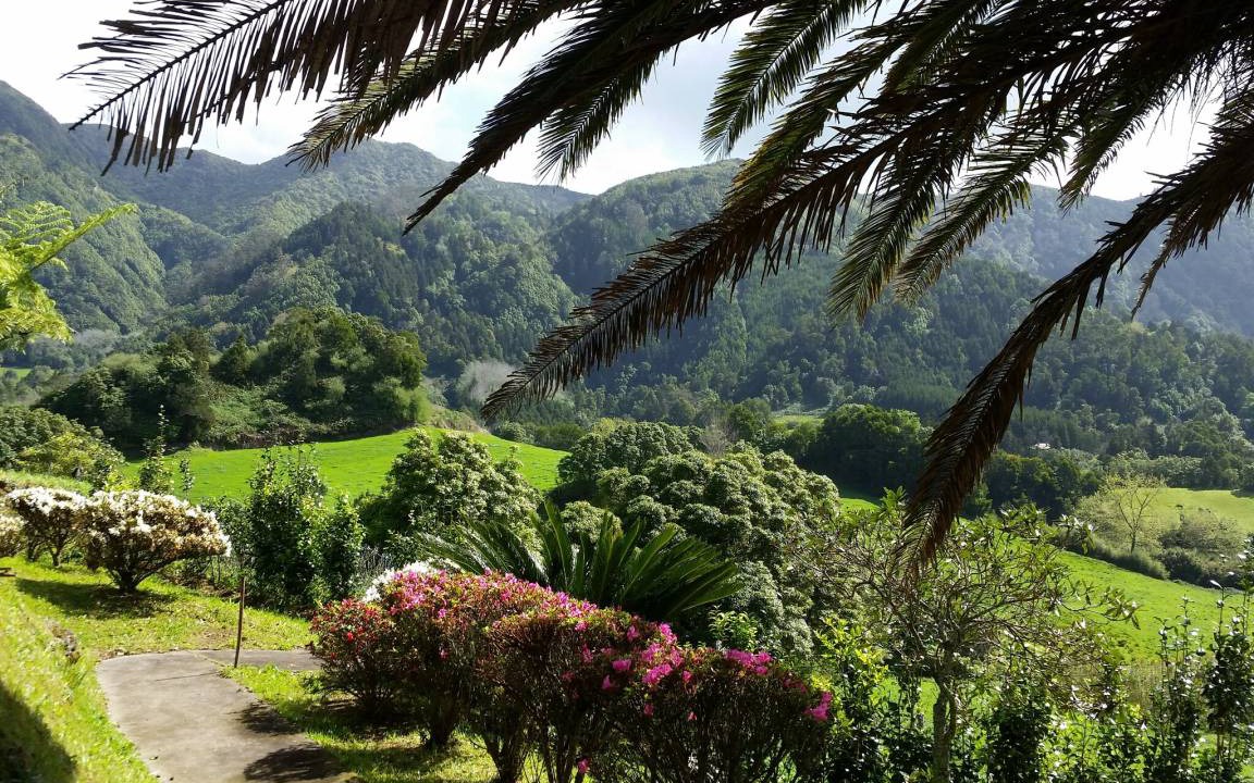 Photo of Others in Furnas