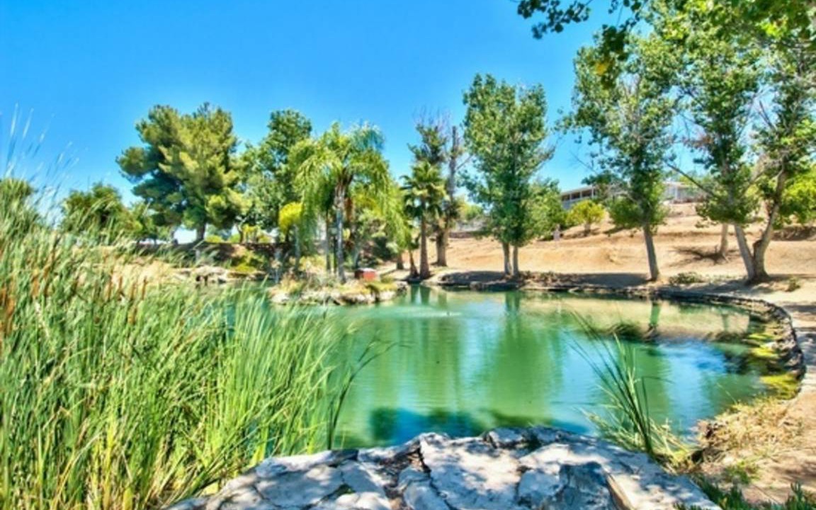 Photo of Others in Menifee