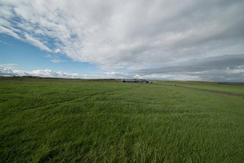 Photo of Others in Selfoss