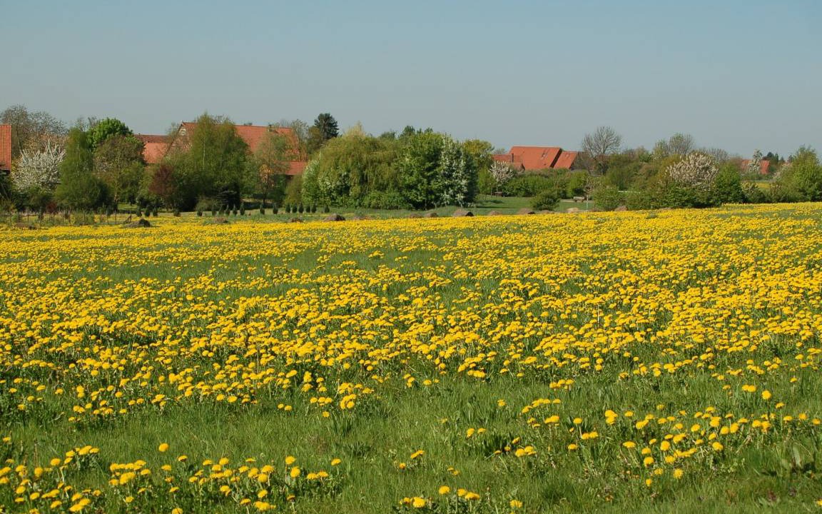 Photo of Others in Wolpinghausen