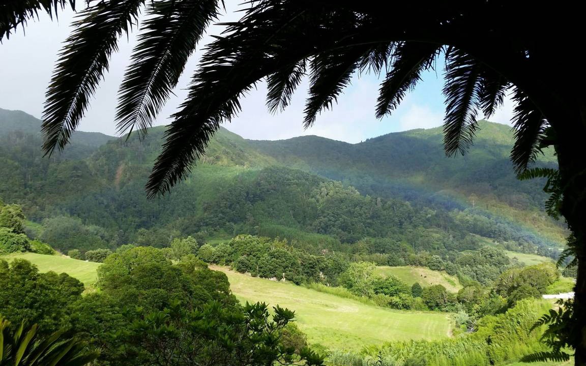 Photo of Others in Furnas