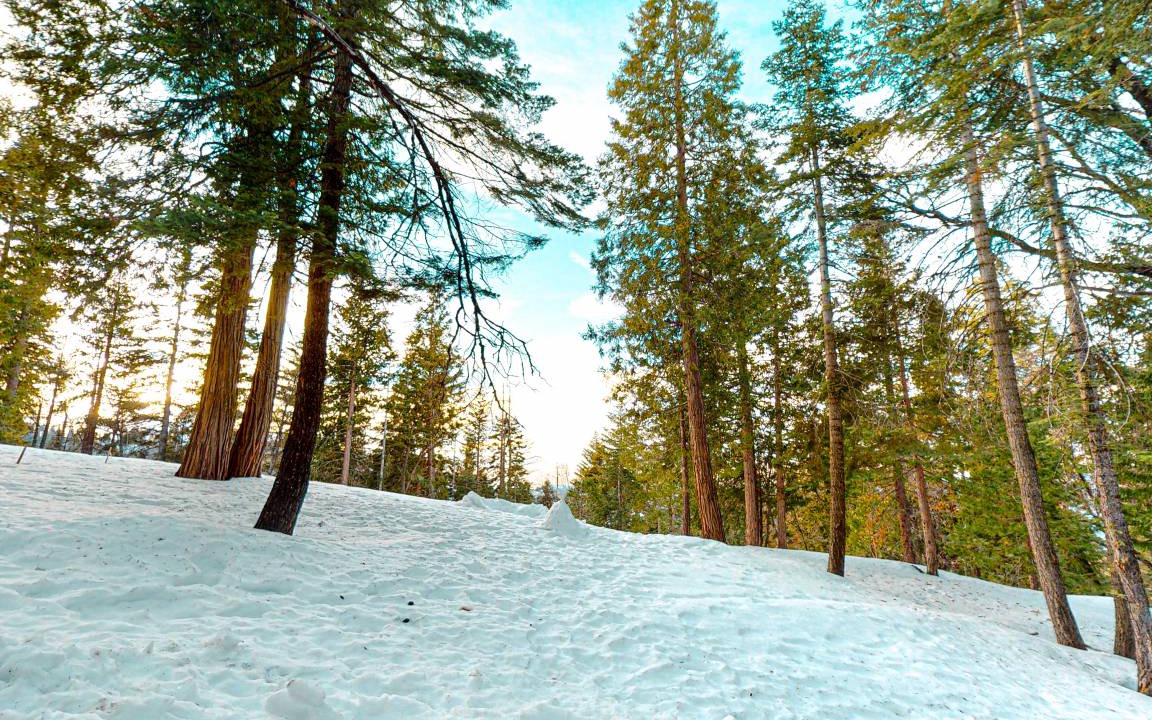 Photo of Others in Yosemite West