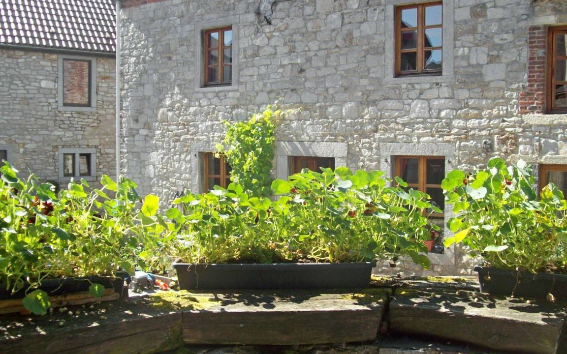 Photo of Others in Thy-le-Bauduin