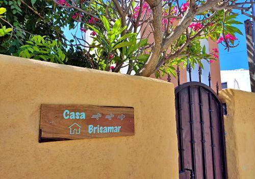 Photo of Others in Puerto Morelos