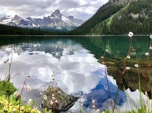 Photo of Others in Canmore
