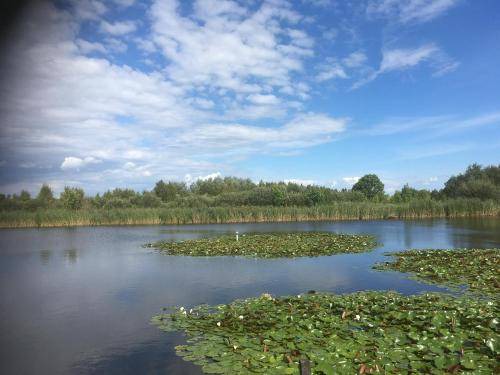 Photo of Outdoor in Municipality of Zaanstad