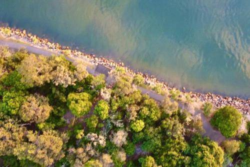 Photo of Others in Noosa Heads