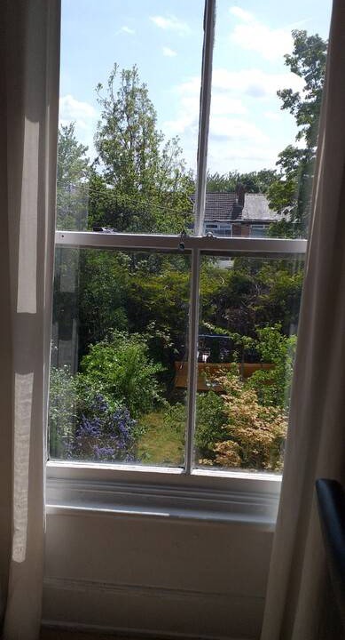 Photo of Others in Chapeltown
