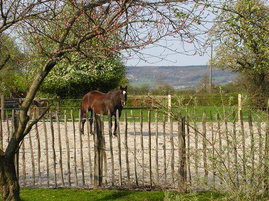 Photo of Others in Plombieres