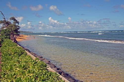 Photo of Others in Kapaa