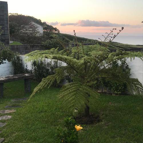 Photo of Outdoor in Nordeste