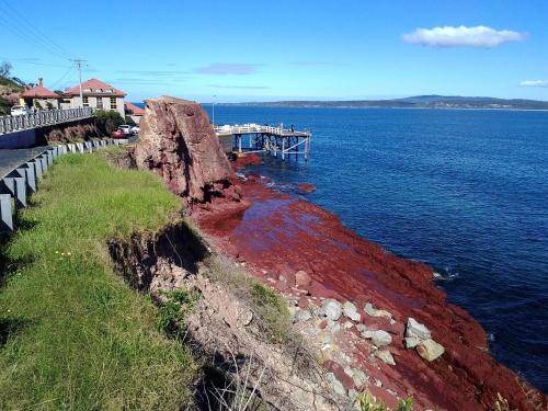 Photo of Others in Merimbula