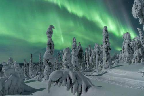 Photo of Others in Rovaniemi