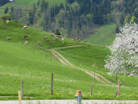 Photo of Others in Hemberg