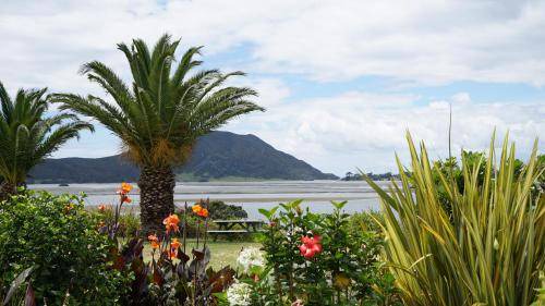 Photo of Others in Pukenui