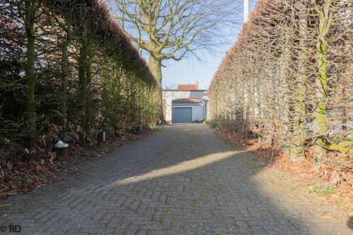 Photo of Others in Sint-Michiels