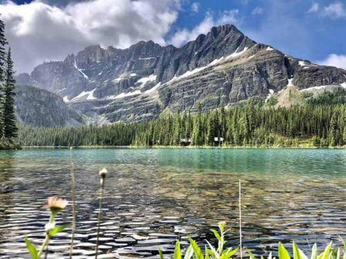 Photo of Others in Canmore