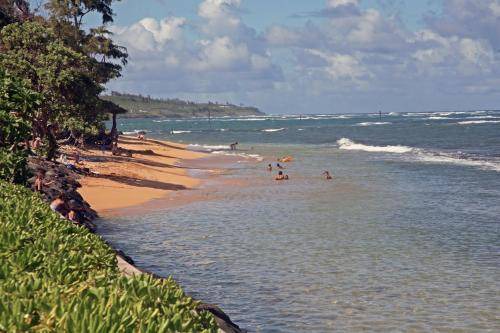 Photo of Others in Kapaa