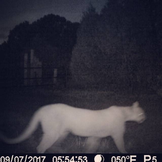 Photo of Others in Raton