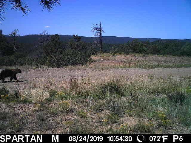 Photo of Outdoor in Raton