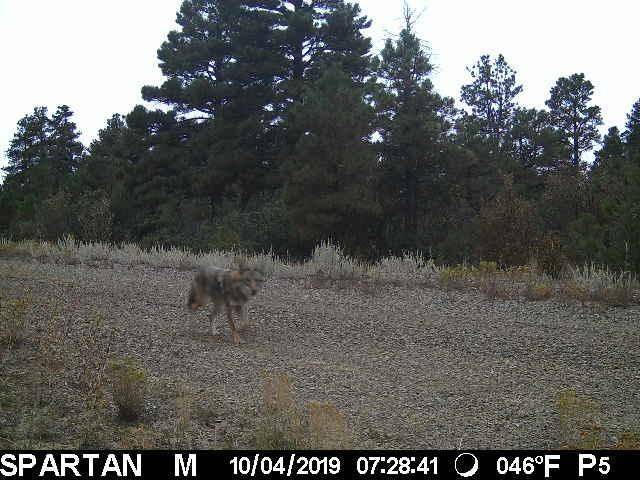 Photo of Others in Raton