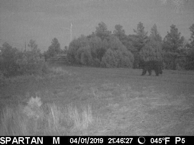 Photo of Others in Raton