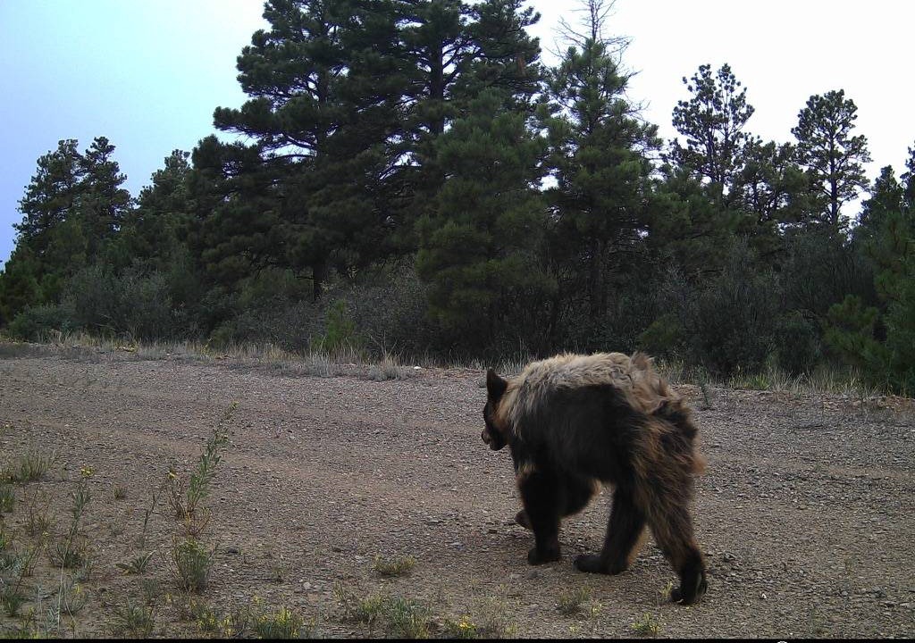 Photo of Others in Raton