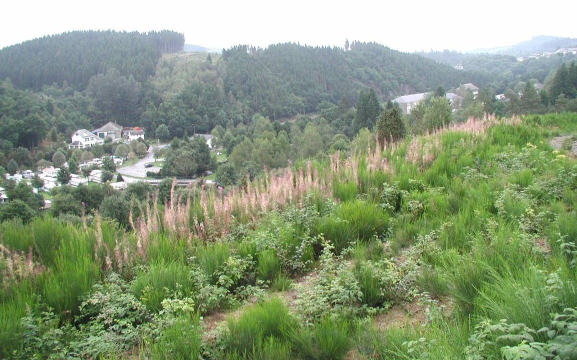 Photo of Outdoor in Houffalize