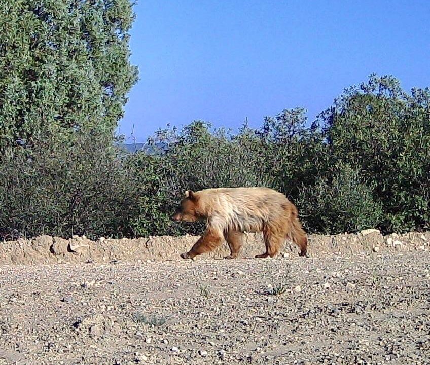 Photo of Others in Raton