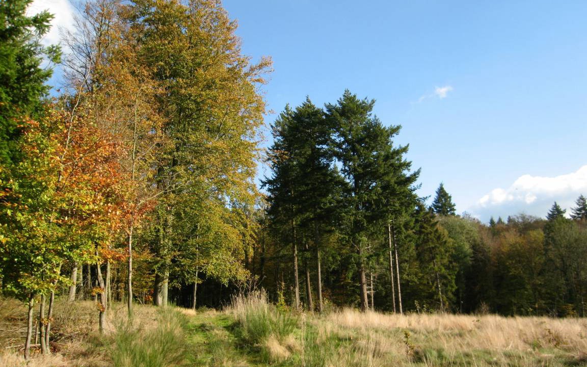 Photo of Outdoor in La Roche-en-Ardenne