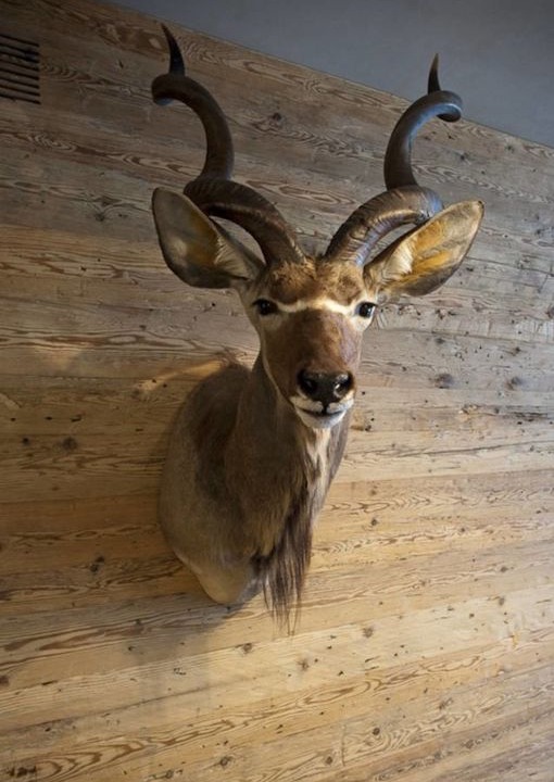Photo of Others in Gstaad