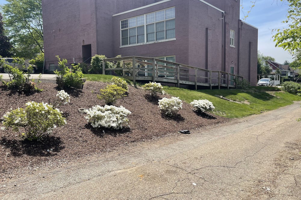 Photo of Outdoor in New Kensington