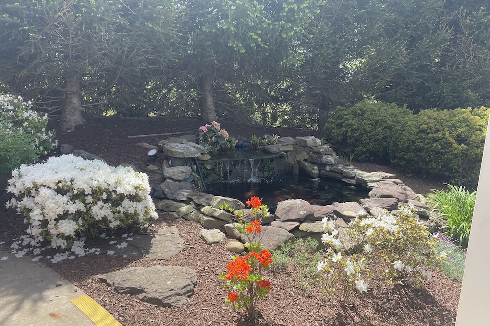 Photo of Outdoor in New Kensington