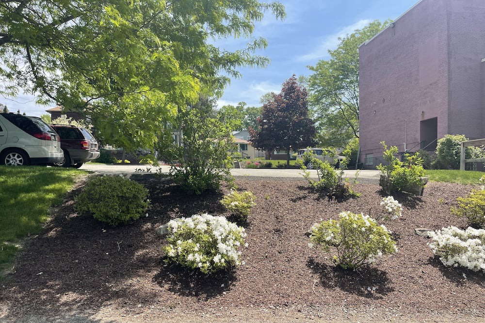 Photo of Outdoor in New Kensington