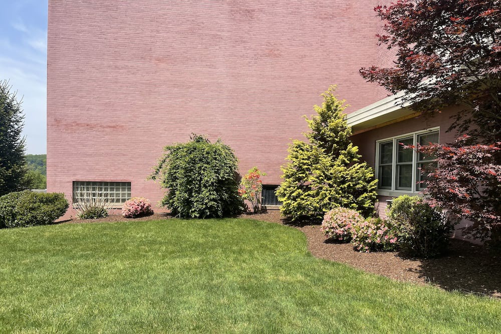 Photo of Outdoor in New Kensington