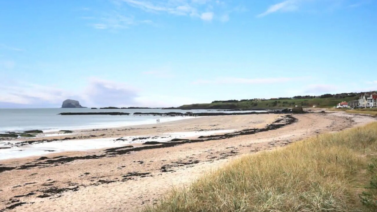 Photo of Others in North Berwick