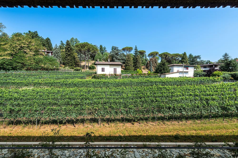 Photo of Outdoor in Stabio