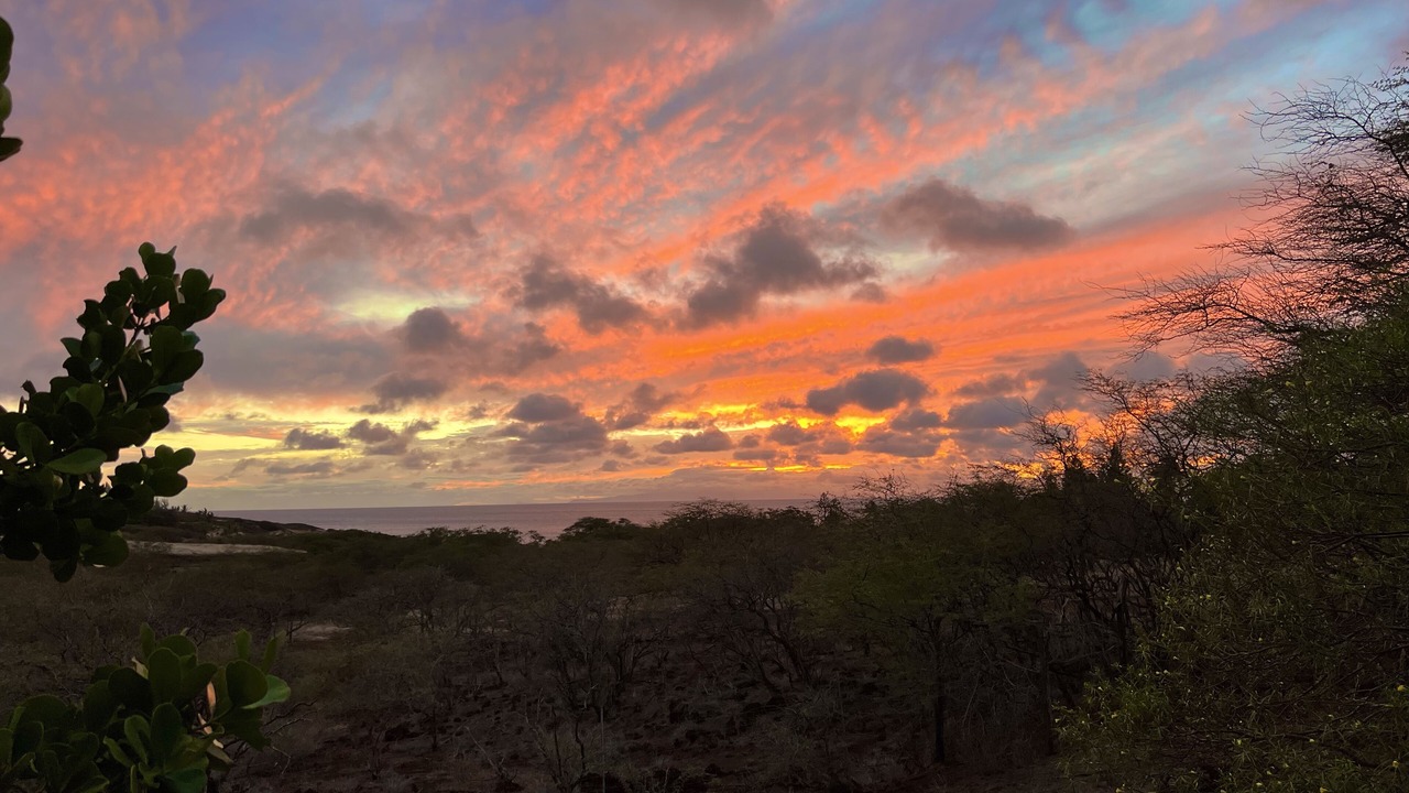 Photo of Others in Maunaloa