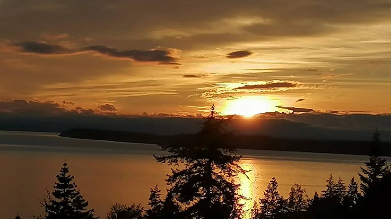 Photo of Others in Powell River