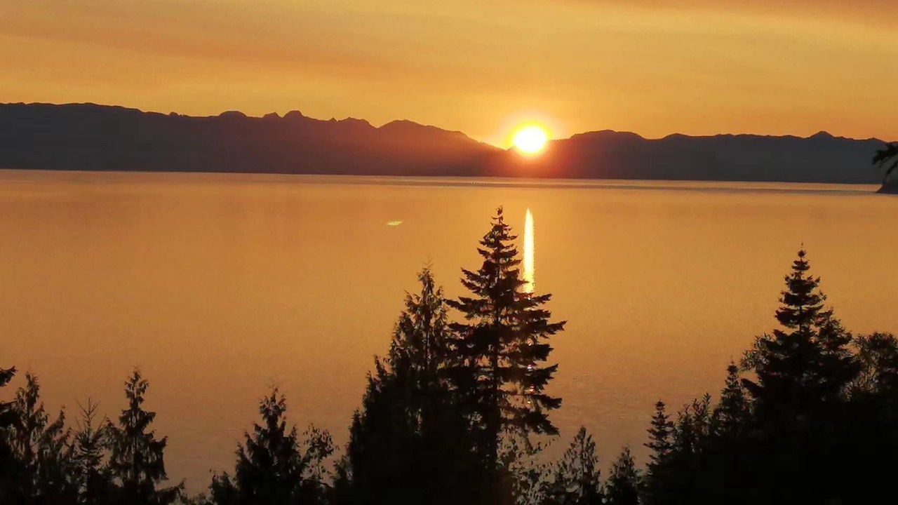Photo of Others in Powell River