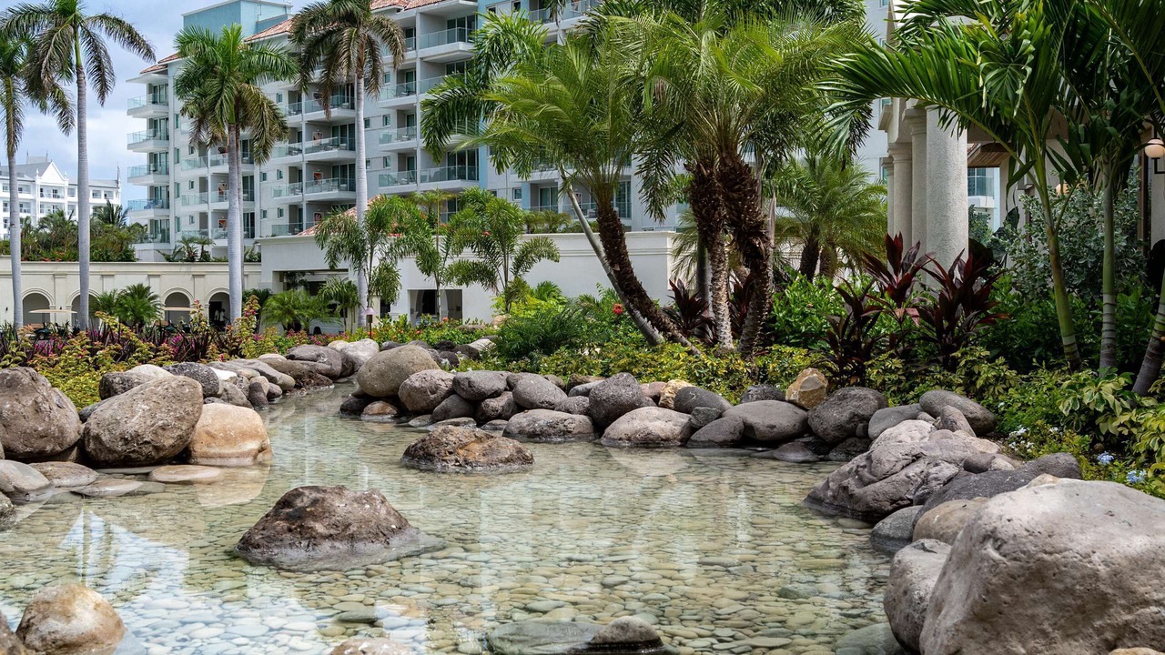 Photo of Outdoor in Mammee Bay